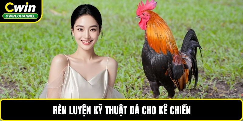 Rèn luyện kỹ thuật đá cho kê chiến