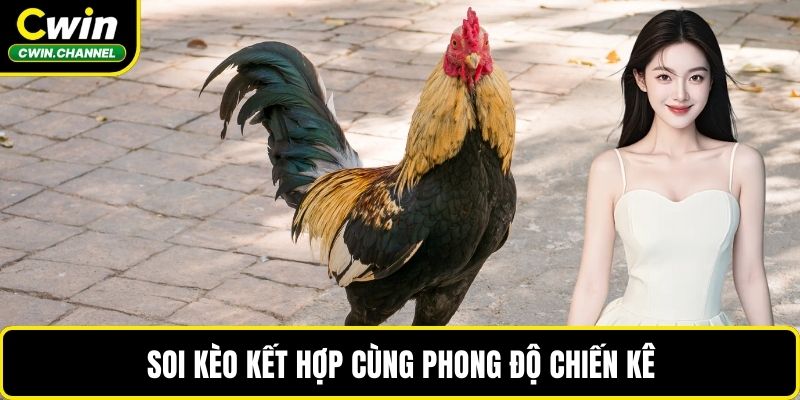 Soi kèo kết hợp cùng phong độ chiến kê